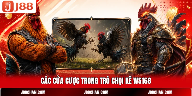 Đá Gà Ws168 - Kênh Trực Tiếp Dữ Liệu Thời Gian Thực