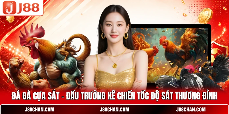 Đá Gà Cựa Sắt - Đấu Trường Kê Chiến Sát Thương Đỉnh