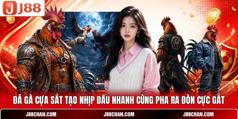 Đá Gà Cựa Sắt - Đấu Trường Kê Chiến Sát Thương Đỉnh