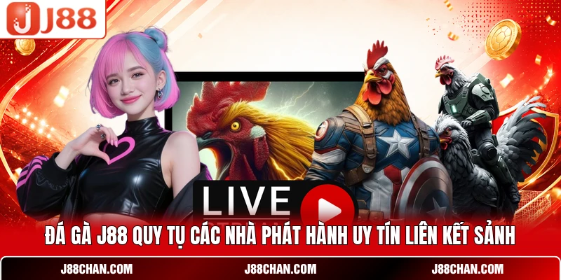 Đá Gà J88 - Đấu Trường Chọi Kê Live Thomo Sắc Nét Full HD