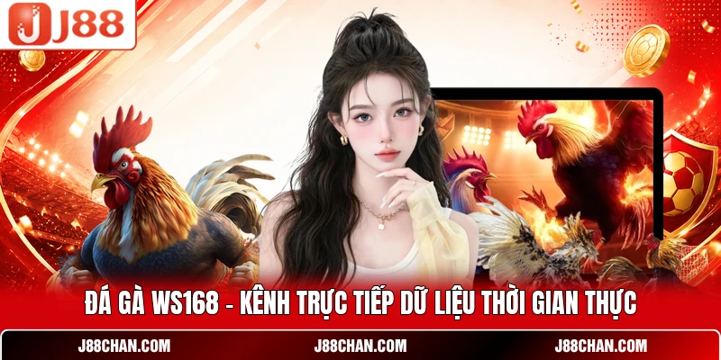 Đá Gà Ws168 - Kênh Trực Tiếp Dữ Liệu Thời Gian Thực