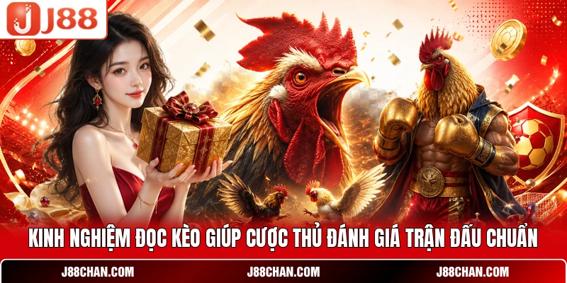 Đá Gà Cựa Sắt - Đấu Trường Kê Chiến Sát Thương Đỉnh