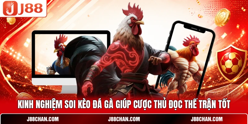 Đá Gà J88 - Đấu Trường Chọi Kê Live Thomo Sắc Nét Full HD