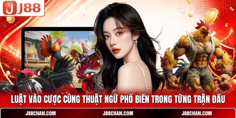 Đá Gà Thomo - Sân Chơi Kê Chiến Cựa Sắt Đỉnh Cao Đẳng Cấp