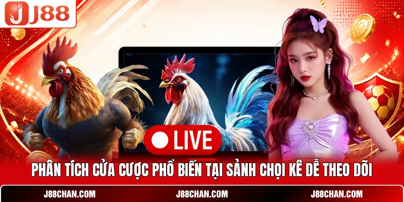 Đá Gà J88 - Đấu Trường Chọi Kê Live Thomo Sắc Nét Full HD